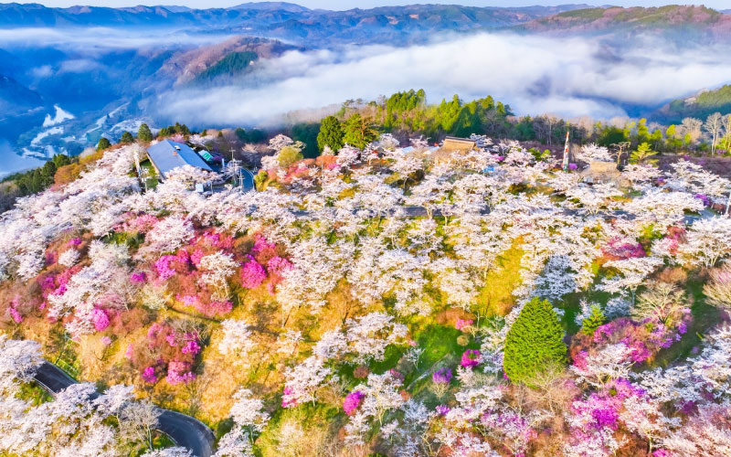 三休（みやすみ）公園