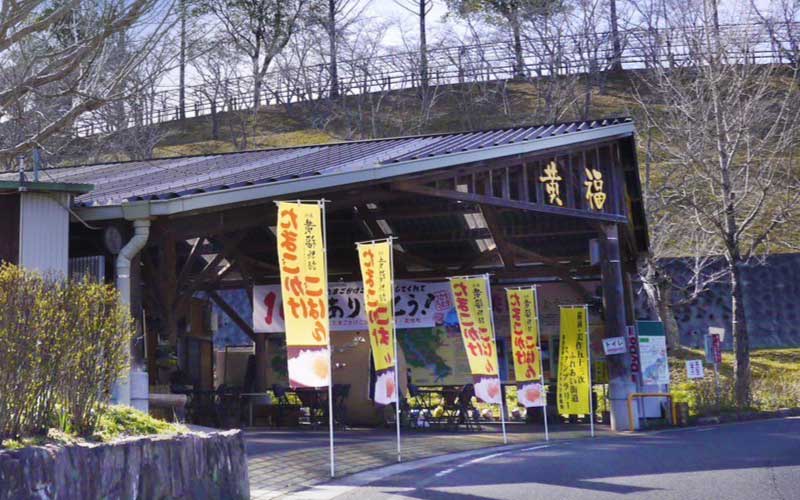 食堂かめっち。